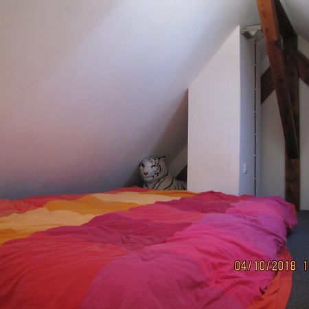 R Bnb Ouest Molsheim Exteriér fotografie